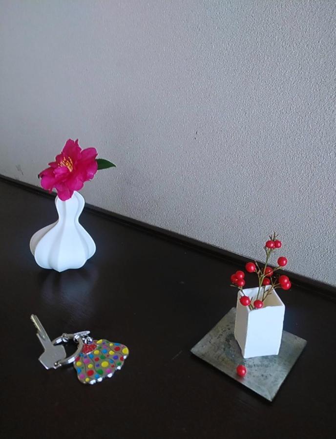 Tsumuya Apartment นาโอชิมะ ภายนอก รูปภาพ